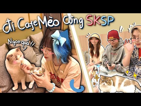 Simmy Invites SKSP To Go To The Super Cute Cat Cafe 😺💕