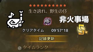 [MHWilds]フリチャレ 歴戦王アルシュベルド 狩猟笛 ソロ 09'57''18 「生き誇れ、野生の仔」  (オトモ付)