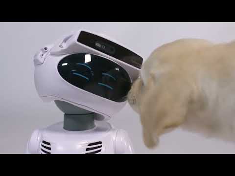Sandi Review Video 1