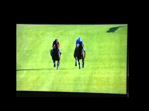 LEGISLATE GALLOP WITH MUSIC