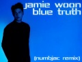 Jamie Woon - Blue Truth (numbjac remix) 