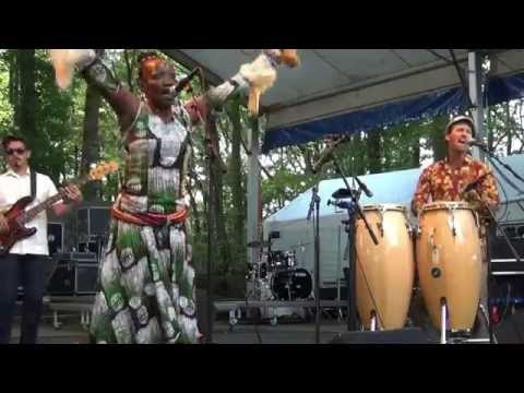 Orlando Julius & The Heliocentrics - Ashiko - LIVE at Afrikafestival Hertme 2016