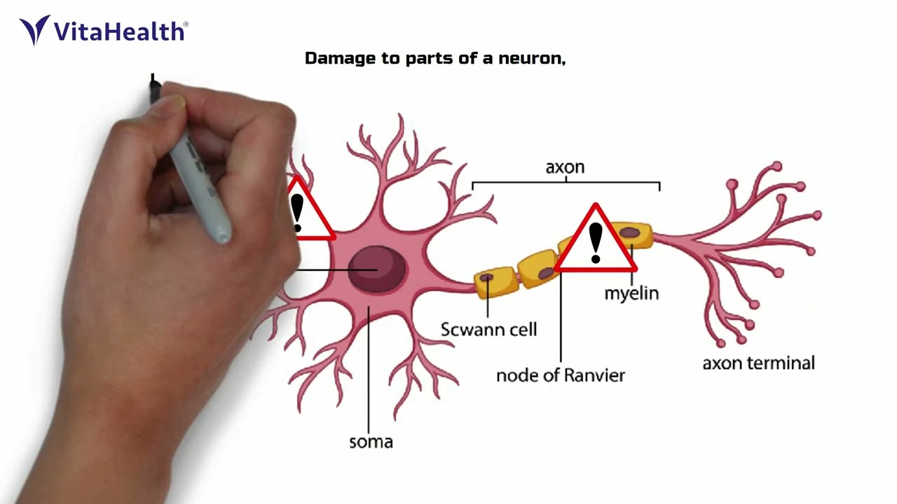 Feeling Mentally Drained or Struggling to Stay Sharp?