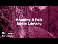 Mysteries Dan Lebowitz No Copyright Music Country Folk Music