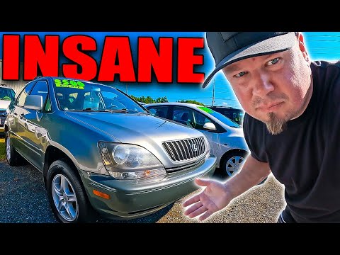 13 Minutes Of INSANE PRICES At A Car Dealer Auction