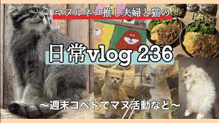 《休日&日常vlog》vo.236⭐︎昼勤週＋週末コベドでマヌ活！
