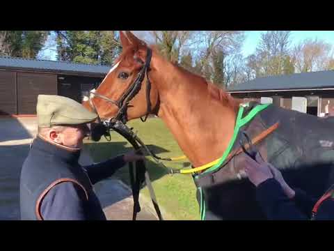 Whizz Kid wins at Catterick