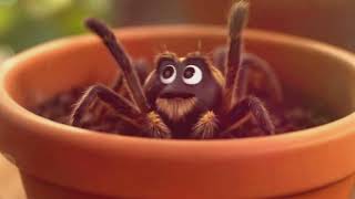 Kid's Stories | Isla and the Friendly Spider |A Tale of Friendship and Kindness |