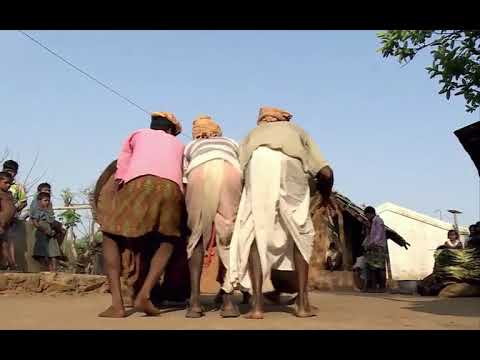 Changu Dance of the Juang tribe (English) — वीडियो थंबनेल