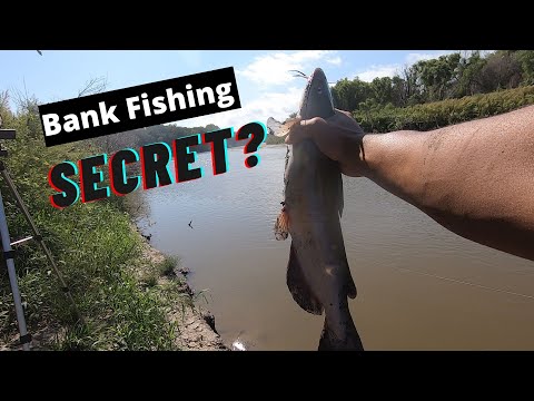 Easy Way to Catch Catfish From the River Bank