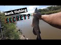 Easy Way To Catch Catfish From The River Bank