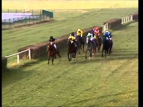 Galopprennbahn Dresden 16.11.2011 - 1.Rennen