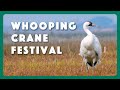 Port Aransas Whooping Crane Festival