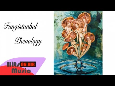 Fungistanbul - Fungis (Official Audio)