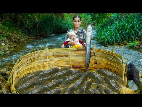Single Mother Blocks the River with Bamboo Traps to Catch Giant Fish in the Countryside | Ly Tu Anh