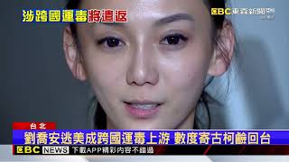 [問卦] 太陽花女王劉喬安被抓回台灣了嗎?