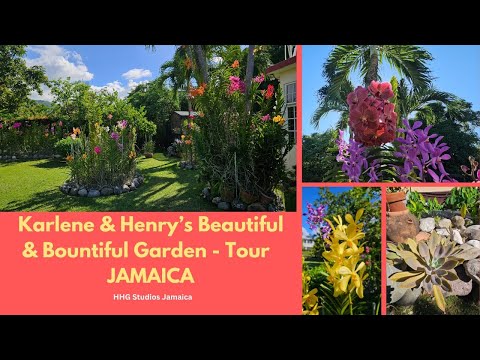 Karlene & Henry's Beautiful & Bountiful Garden - Tour || JAMAICA