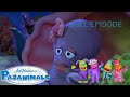 Pajanimals Series 1 Episode 8 An Octopus Hug