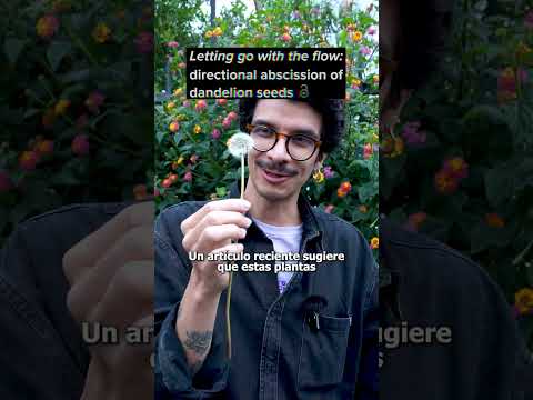 Short de Shots de Ciencia