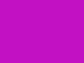 soulchaser lyrics