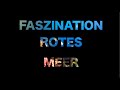 Faszination Rotes Meer 4/4