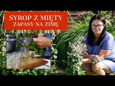 Syrop z mięty. Przetwory na zimę. Ogrodnictwo z Kasia in