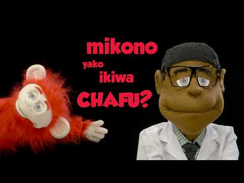 SWAHILI Hand Washing Dr. Pamoja Episode 1 with Bali The Monkey for Childen COVID-19 Kenyan Education