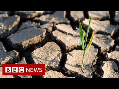 国連の気候変動目標が「手の届く範囲内」に - BBC ニュース (UN climate change goal now 'within reach' - BBC News)