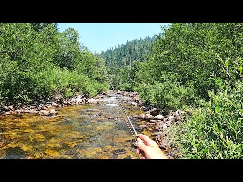 The ONLY FLIES U NEED on a summer trip out west - 9 flies I used on a 2 month road trip- NM,CO,ID,WY
