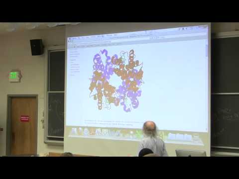 #6 Biochemistry Lecture (Hemoglobin) from Kevin Ahern's BB 350