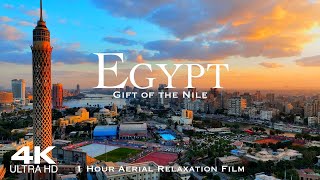 Epic 7-Day Egypt Travel Itinerary: Pyramids, Nile Cruise & Hidden Gems!