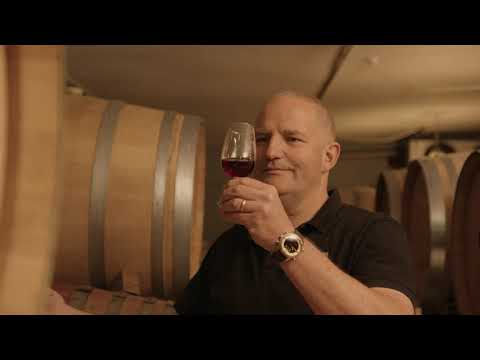 Delish Destinations - Volcanic Hills Wine