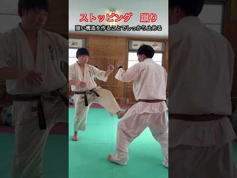 【武道・武術】ストッピングの蹴りのやり方と考え方　解説！！　#aikido ＃karate #martial #武道 ＃#空手＃合気道＃筋トレ#selfdefens