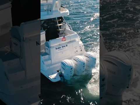 Reach new heights with the Regal 38 FXO 🌊