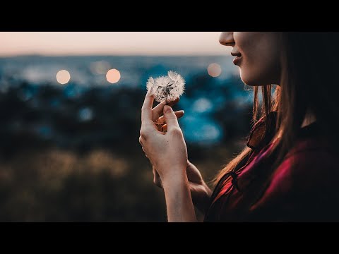 Gone Before the Night - Seroa feat  J A | Pop Music