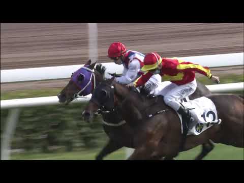 24/1/2021 (369) Stimulation- Matthew Chadwick