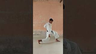 Download lagu empi kata 4 step #empi #kata #karate #shotokan #viralshort mp3