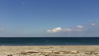Shoreline Study 3: Duxbury Bay