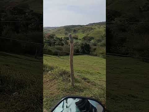 Interior na cidade de Siriri - SE #shorts #nordeste