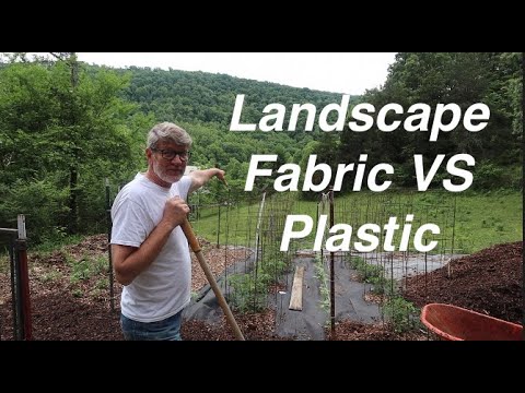 Controlling Garden WEEDS | Plastic vs Landscape Fabric