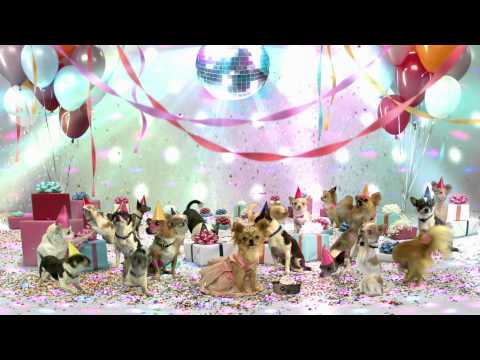 Крошка из Беверли Хиллз 3 - Трейлер