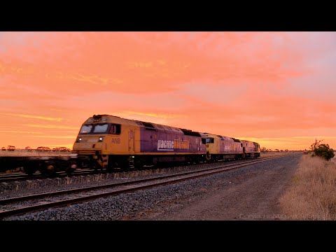 2MA5 Pacific National Container Train At Sunset (7/1/2019) - PoathTV Australian Railways