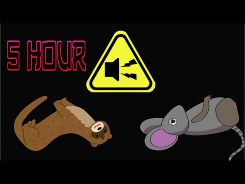 Ultrasonic Mouse & Rat Repellent 5 hours