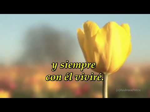 396 Oh, qué Salvador