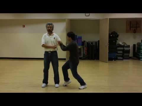 Tai Chi Push Hands Basic Training, Part 4