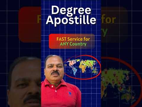 Satisfied Client Review — Apostille & Document Attestation