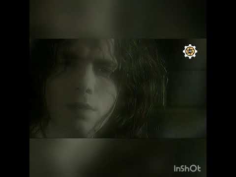 Robert Janowski - mury jerycha