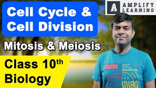 Cell Cycle and Cell Division | Mitosis and Meiosis | ICSE Class 10 Biology