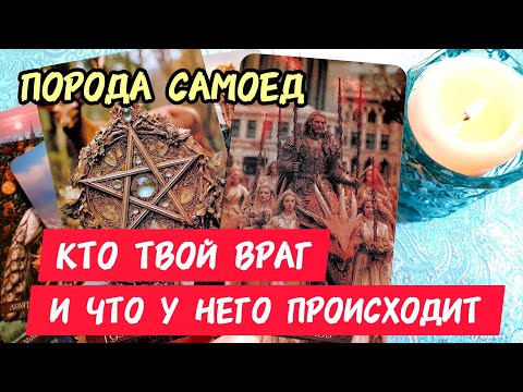 🎯🧲КТО ТВОЙ ВРАГ 😈 И ЧТО У НЕГО ПРОИСХОДИТ 😮 🔥Какая ты молодец что не сдаёшься 👍 Таро🔮#таро #tarot 