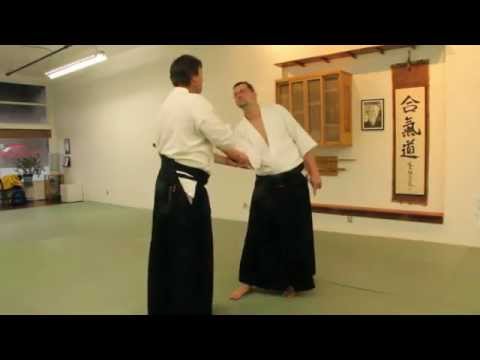 Aiki-Lab: Takemusu aiki compared to rigid forms